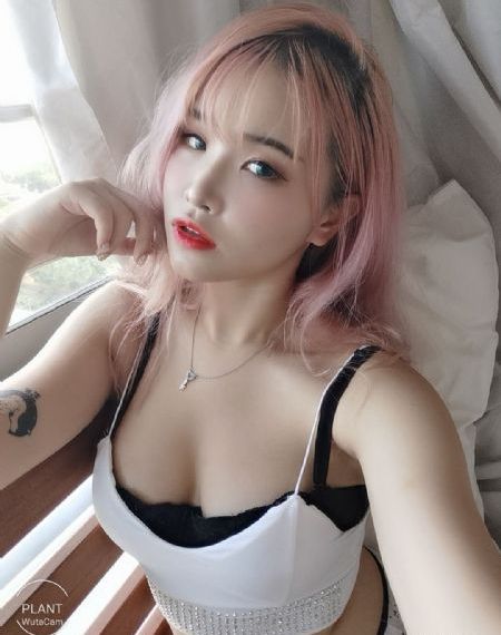 细狗网站