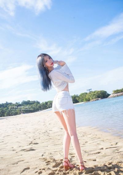 流星 电视剧